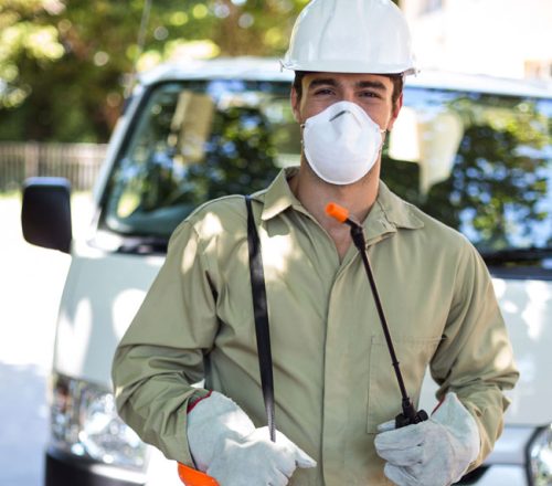 Depositphotos_106118094_ds