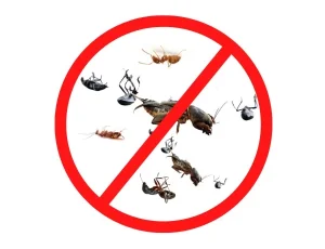 General-Pest-Control-Service