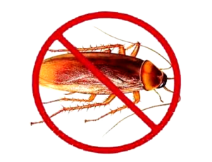 cockroach-control-services