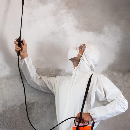 Manual worker using pest spray on wall of house