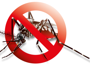 shutterstock_1486347491